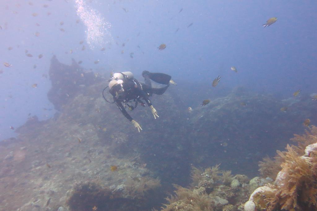 Seahua Ha Ha Tulamben Dive Resort Exteriér fotografie